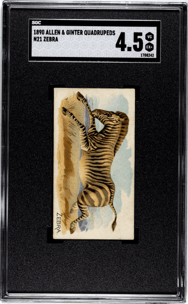 1890 Allen & Ginter Zebra N21 Quadrupeds SGC 4.5 front of card