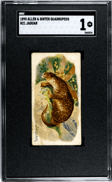 1890 Allen & Ginter Jaguar N21 Quadrupeds SGC 1 — certification 2442076, front of card