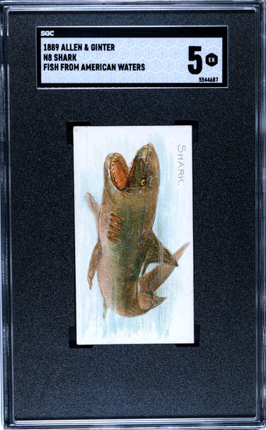 1889 N8 Allen & Ginter Shark Fish From American Waters SGC 5 front of card