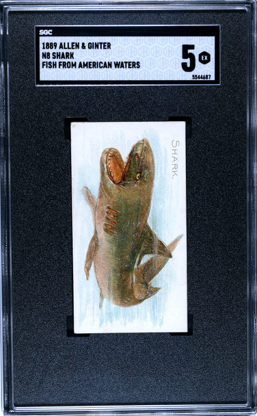 1889 N8 Allen & Ginter Shark Fish From American Waters SGC 5 front of card