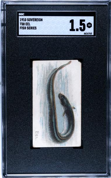 1910 T58 Sovereign Eel Fish Series SGC 1.5 front of card