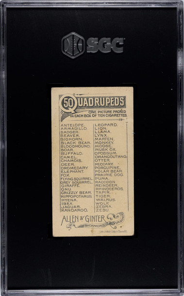 1890 N21 Allen & Ginter Boar 50 Quadrupeds SGC 4 back of card