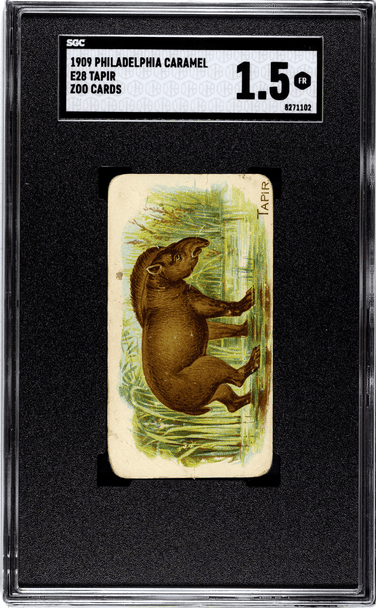 1909 E28 Philadelphia Caramel Tapir Zoo Cards SGC 1.5 front of card