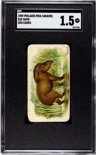 1909 E28 Philadelphia Caramel Tapir Zoo Cards SGC 1.5 front of card
