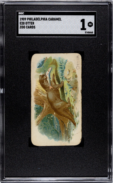 1909 E28 Philadelphia Caramel Otter Zoo Cards SGC 1 front of card