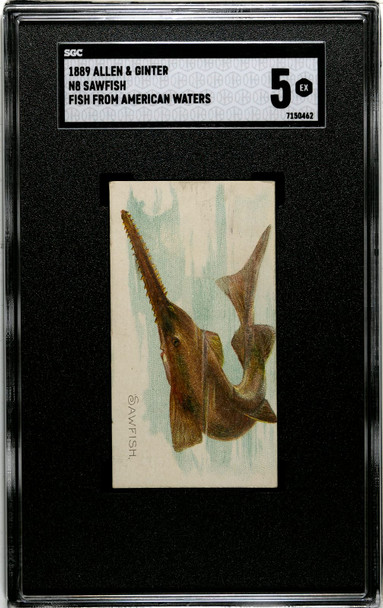 1889 N8 Allen & Ginter Sawfish 50 Fish From American Waters SGC 5 front of card