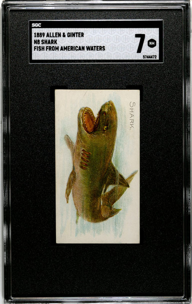 1889 N8 Allen & Ginter Shark 50 Fish From American Waters SGC 7 front of card