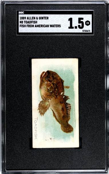 1889 N8 Allen & Ginter Toadfish 50 Fish From American Waters SGC 1.5 front of card