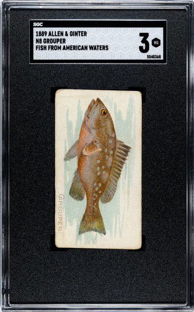 1889 N8 Allen & Ginter Grouper 50 Fish From American Waters SGC 3 front of card