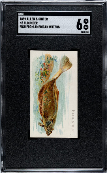 1889 N8 Allen & Ginter Flounder 50 Fish From American Waters SGC 6 front of card