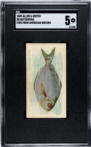 1889 N8 Allen & Ginter Butterfish 50 Fish From American Waters SGC 5 front of card
