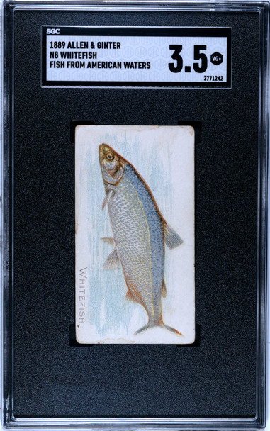 1889 N8 Allen & Ginter Whitefish 50 Fish From American Waters SGC 3.5 front of card