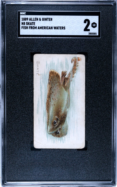 1889 N8 Allen & Ginter Skate 50 Fish From American Waters SGC 2 front of card