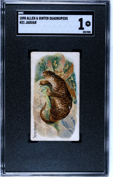 1890 N21 Allen & Ginter Jaguar 50 Quadrupeds SGC 1 front of card