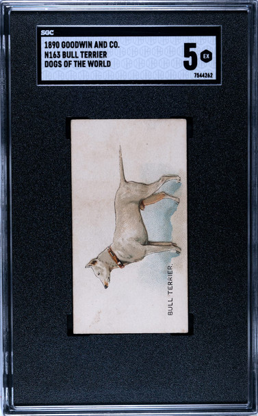 1890 N163 Goodwin & Co. Old Judge Bull Terrier Dogs of the World SGC 5 front of card