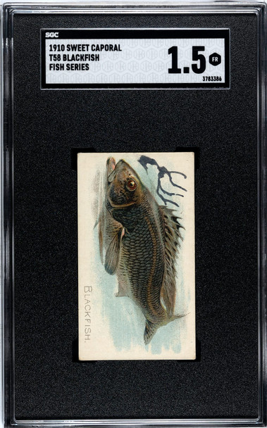 1910 T58 Fish Series Blackfish Sweet Caporal SGC 1.5 front of card