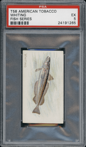 1910 T58 Fish Series Whiting Piedmont PSA 5 front of card