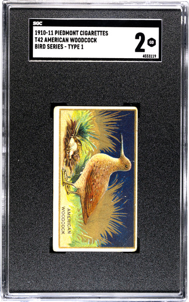1910 T42 Piedmont Cigarettes American Woodcock Type 1 Bird Series SGC 2 front of card