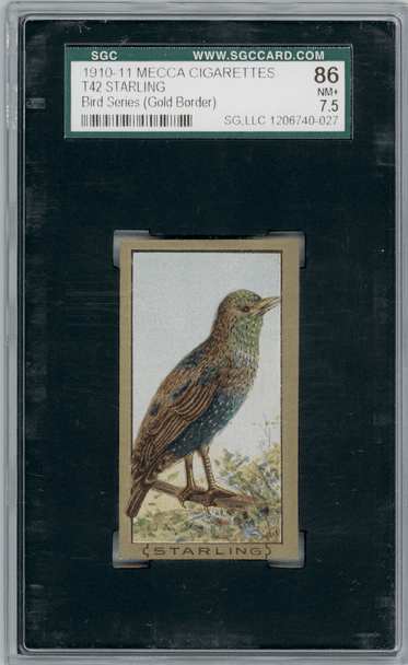 1910 T42 Mecca Cigarettes Starling Type 2 Bird Series SGC 7.5 front of card