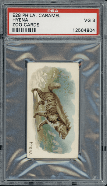 1909 E28 Philadelphia Caramel Hyena Zoo Cards PSA 3 front of card