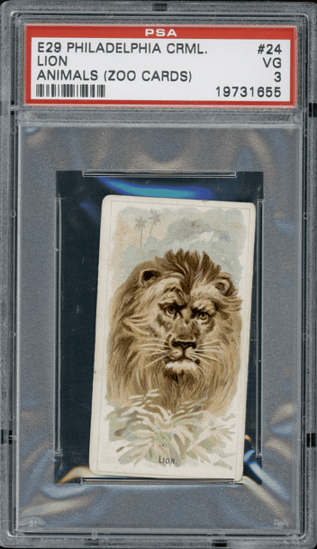 1910 E29 Philadelphia Caramel Lion Zoo Cards PSA 3 front of card
