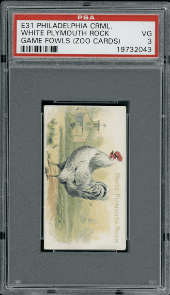 1907 E31 Philadelphia Caramel White Plymouth Rock Zoo Cards PSA 3 front of card
