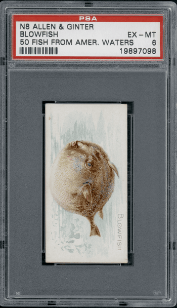 1889 N8 Allen & Ginter Blowfish 50 Fish From American Waters PSA 6 front of card