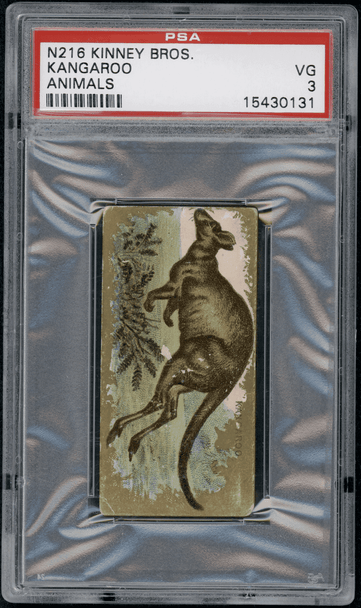1890 N216 Kinney Bros. Kangaroo Animals PSA 3 front of card