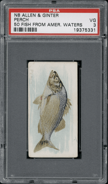 1889 N8 Allen & Ginter Perch 50 Fish From American Waters PSA 3 front of card