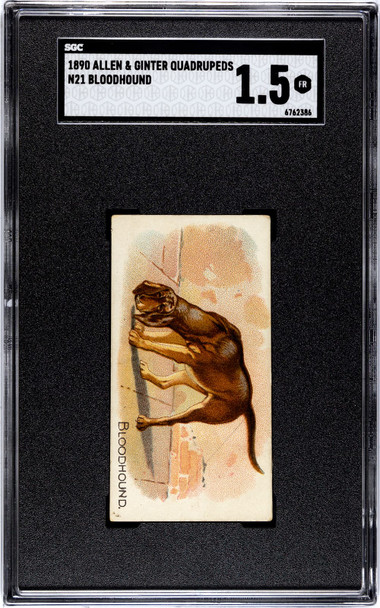 1890 N21 Allen & Ginter Bloodhound 50 Quadrupeds SGC 1.5 front of card