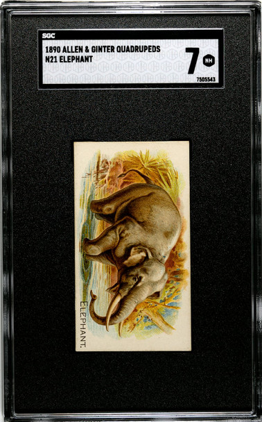 1890 N21 Allen & Ginter Elephant 50 Quadrupeds SGC 7 front of card