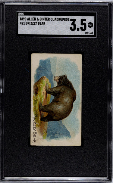 1890 N21 Allen & Ginter Grizzly Bear 50 Quadrupeds SGC 3.5 front of card