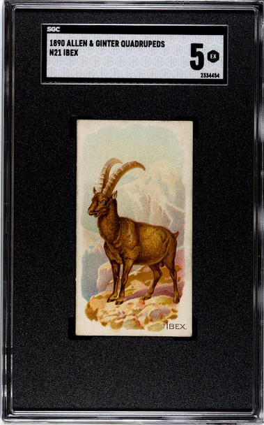 1890 N21 Allen & Ginter Ibex 50 Quadrupeds SGC 5 front of card