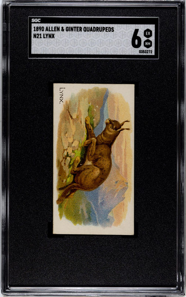 1890 N21 Allen & Ginter Lynx 50 Quadrupeds SGC 6 front of card