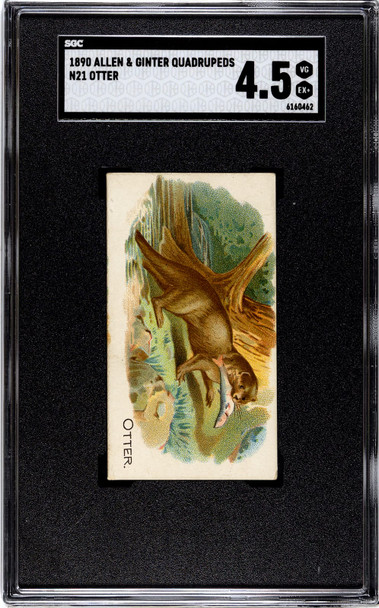 1890 N21 Allen & Ginter Otter 50 Quadrupeds SGC 4.5 front of card