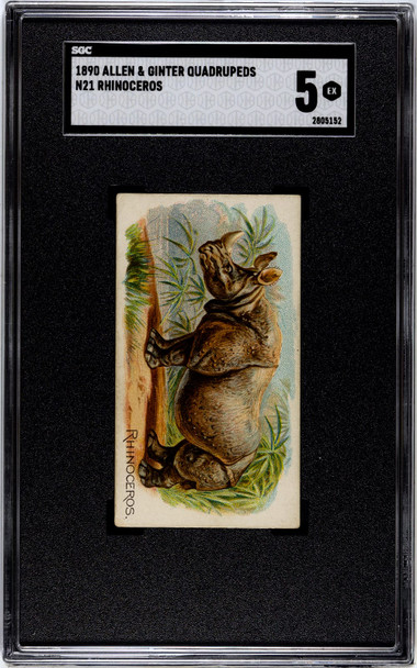 1890 N21 Allen & Ginter Rhinoceros 50 Quadrupeds SGC 5 front of card