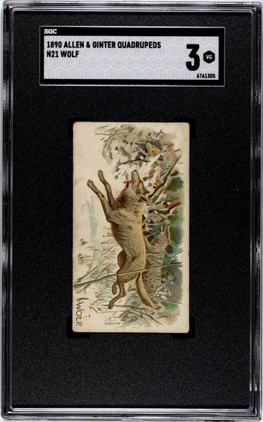 1890 N21 Allen & Ginter Wolf 50 Quadrupeds SGC 3 front of card