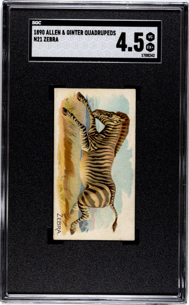 1890 N21 Allen & Ginter Zebra 50 Quadrupeds SGC 4.5 front of card