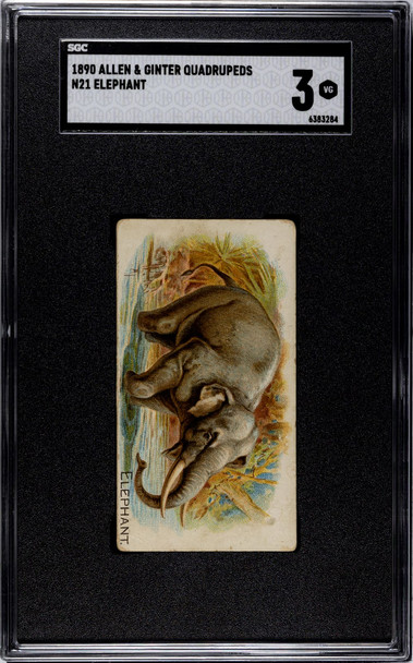 1890 N21 Allen & Ginter Elephant 50 Quadrupeds SGC 3 front of card