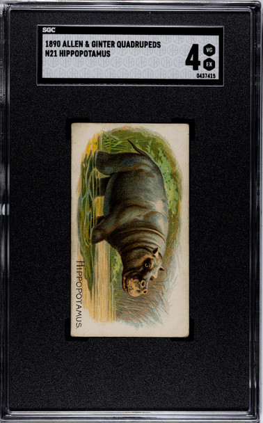 1890 N21 Allen & Ginter Hippopotamus 50 Quadrupeds SGC 4 front of card