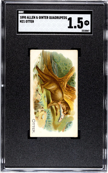 1890 N21 Allen & Ginter Otter 50 Quadrupeds SGC 1.5 front of card