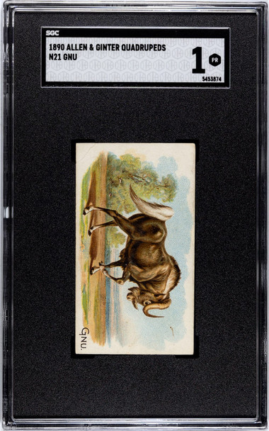 1890 N21 Allen & Ginter Gnu 50 Quadrupeds SGC 1 front of card