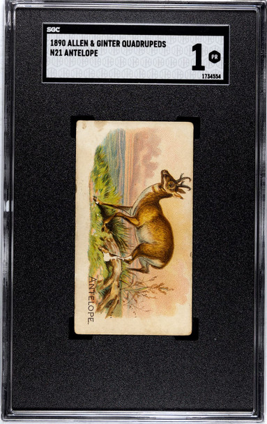 1890 N21 Allen & Ginter Antelope 50 Quadrupeds SGC 1 front of card