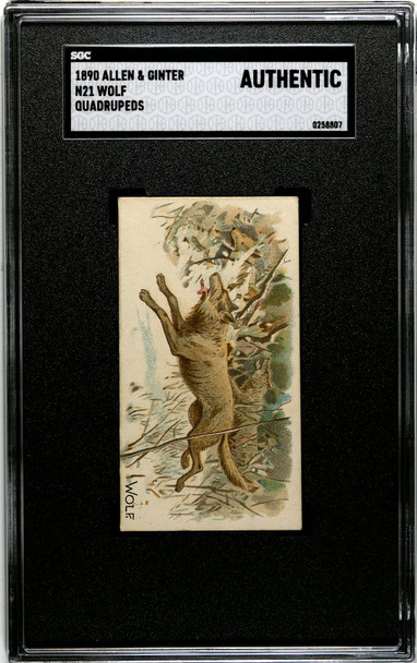 1890 N21 Allen & Ginter Wolf 50 Quadrupeds SGC A front of card