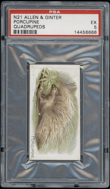 1890 N21 Allen & Ginter Porcupine 50 Quadrupeds PSA 5 front of card