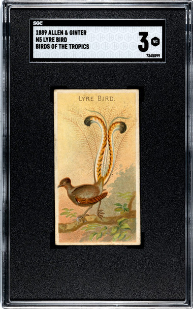 1889 N5 Allen & Ginter Lyre Bird Birds of the Tropics SGC 3 front of card