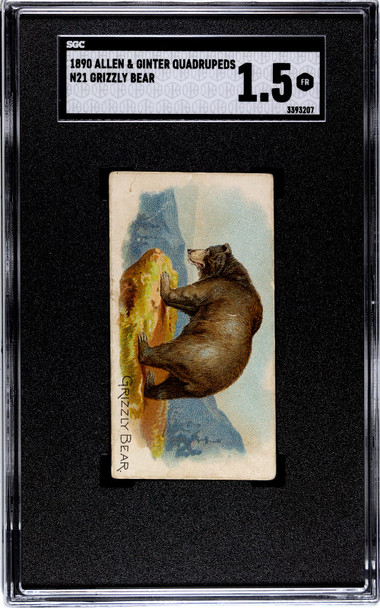 1890 N21 Allen & Ginter Grizzly Bear 50 Quadrupeds SGC 1.5 front of card