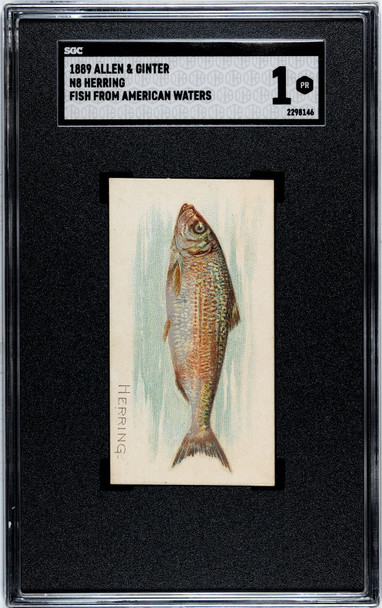 1889 N8 Allen & Ginter Herring Fish From American Waters SGC 1 front of card