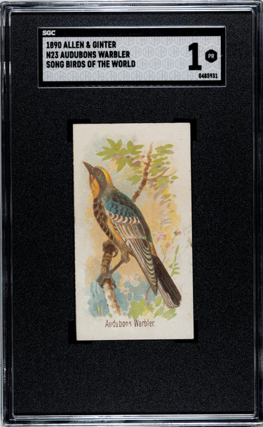 1890 N23 Allen & Ginter Audubons Warbler Song Birds of the World SGC 1 front of card