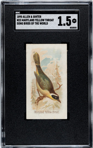 1890 N23 Allen & Ginter Maryland Yellow Throat Song Birds of the World SGC 1.5 front of card
